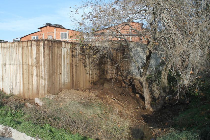 Dereye atılan hayvan atıkları mikrop saçıyor