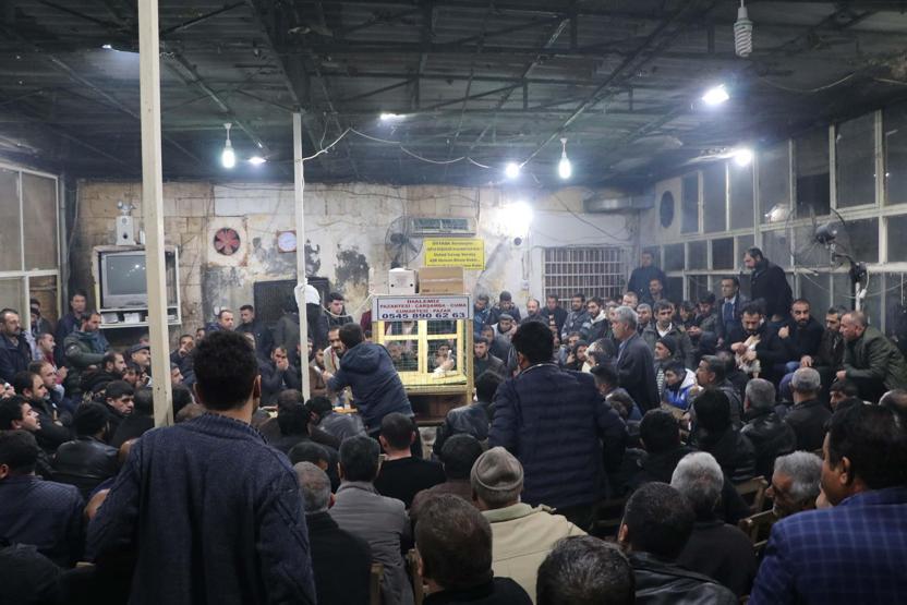 İhale usulü güvercin satışına yoğun ilgi