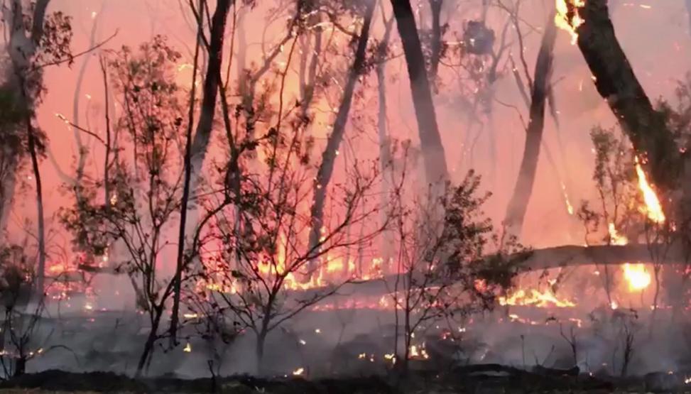 Avustralya’da bilanço artıyor: 6 kişi öldü, 744 ev kül oldu