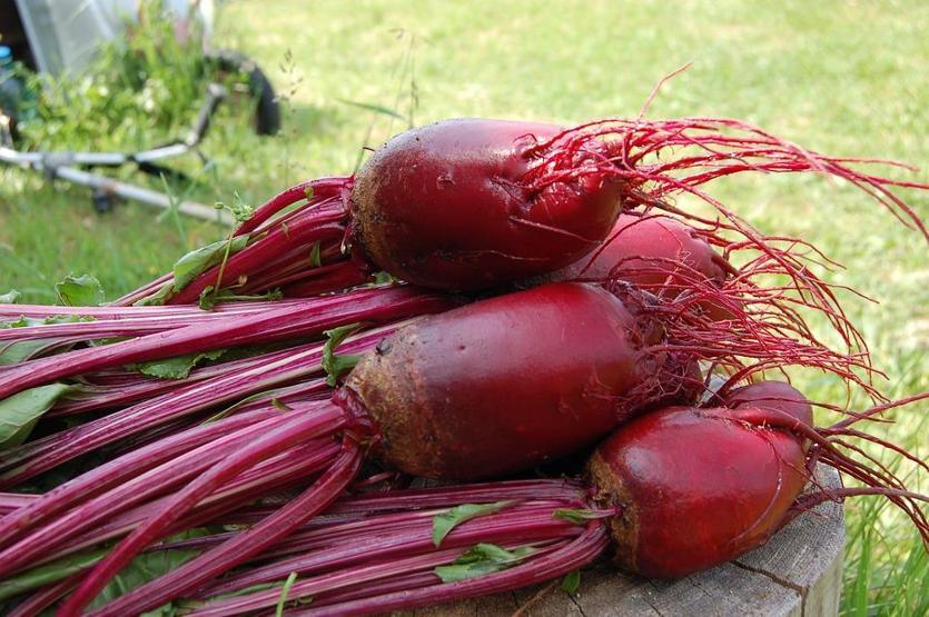 Sindirimi kolaşlatırıp kilo vermeye yardımcı oluyor