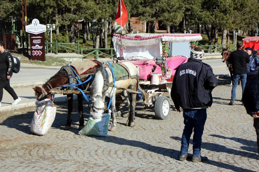 Boludaki atlar temiz çıktı