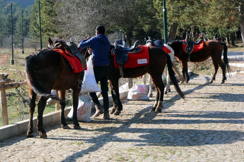 Boludaki atlar temiz çıktı