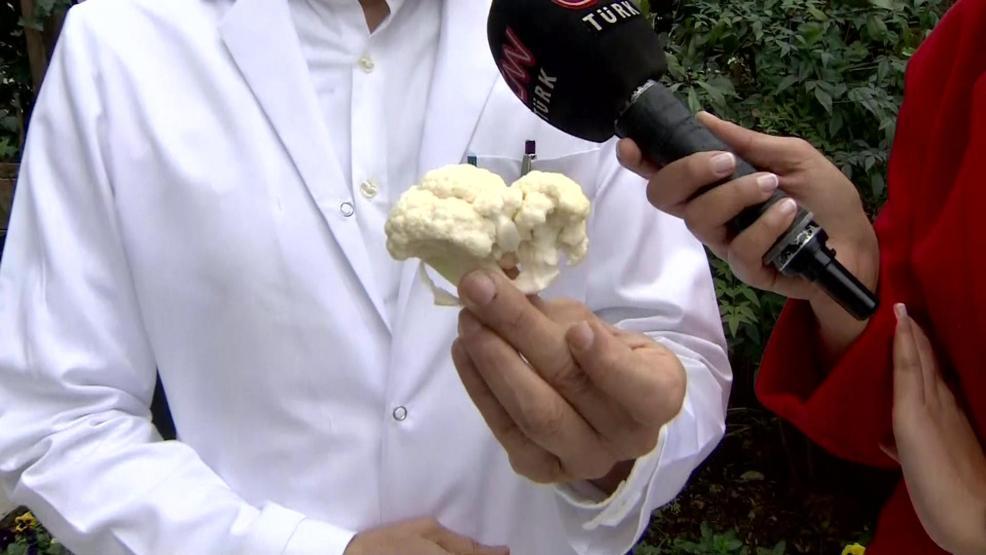 Türkiye lodosa teslim Lodos yüzünden rahatsızlananlara uzmanından tüyolar