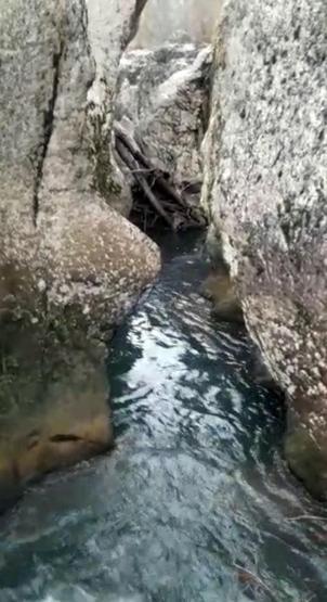 Soğuk havaya aldırış etmeden suya girdiler