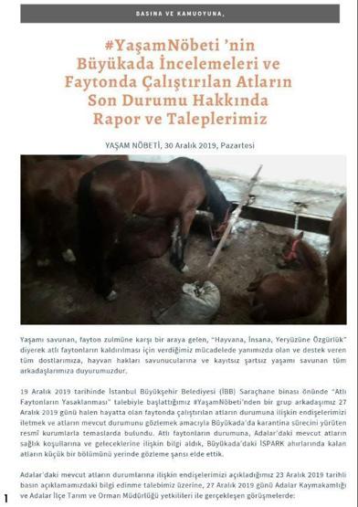 Karantinaya alınan atlar görüntülendi