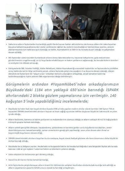 Karantinaya alınan atlar görüntülendi