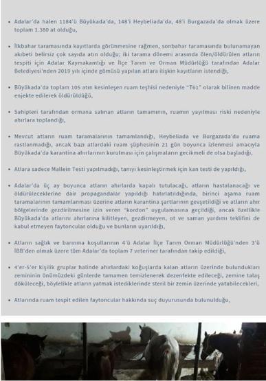 Karantinaya alınan atlar görüntülendi