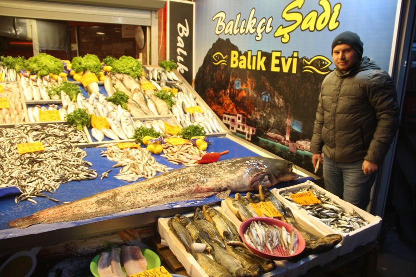 Dev yayın balığı ilgi odağı oldu