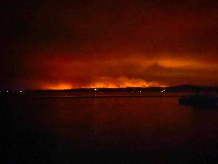 Avustralyada facia önlenemiyor: Komşu ülke bu hale geldi