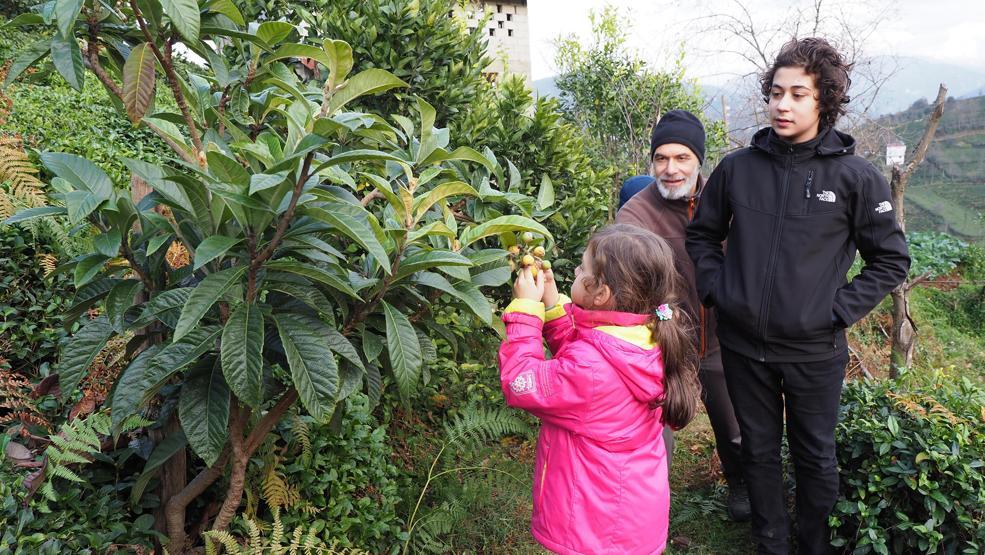 Hava soğumadı ağaçlar meyve verdi
