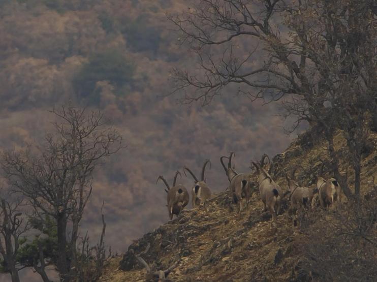 Elazığ ve Bingöl’de çekilen gökyüzü fotoğrafları hayran bıraktı