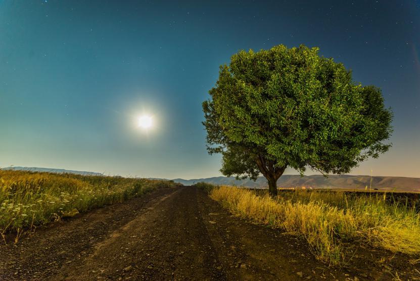 Elazığ ve Bingöl’de çekilen gökyüzü fotoğrafları hayran bıraktı