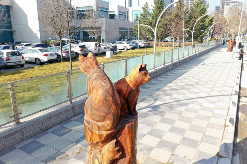 Kuru ağaçlar sanat eserine dönüştürülüyor