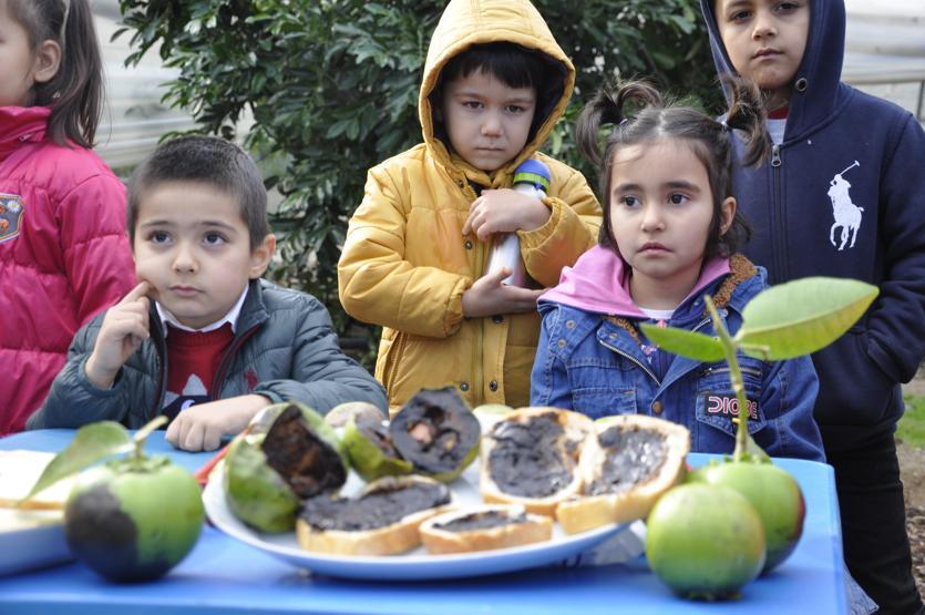 İçi de tadı da çikolatayla aynı Yoğun ilgi görüyor
