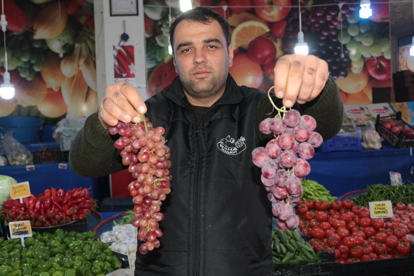 Bu erik altınla yarışıyor