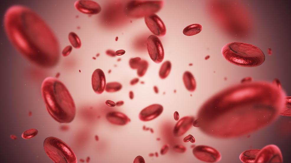 Kanseri geçerek dünyada en fazla ölüme neden olan hastalık: Sepsis