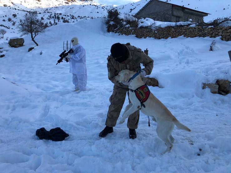 Gülistandan 16 gündür, Süryani çiftten 10 gündür haber yok