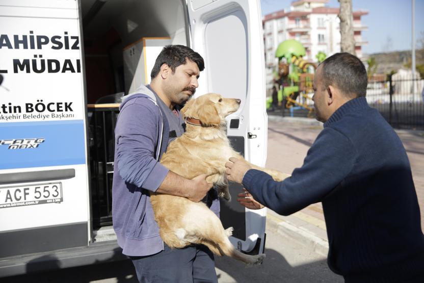 Otobüse binen köpek yolcularla şehir turu attı
