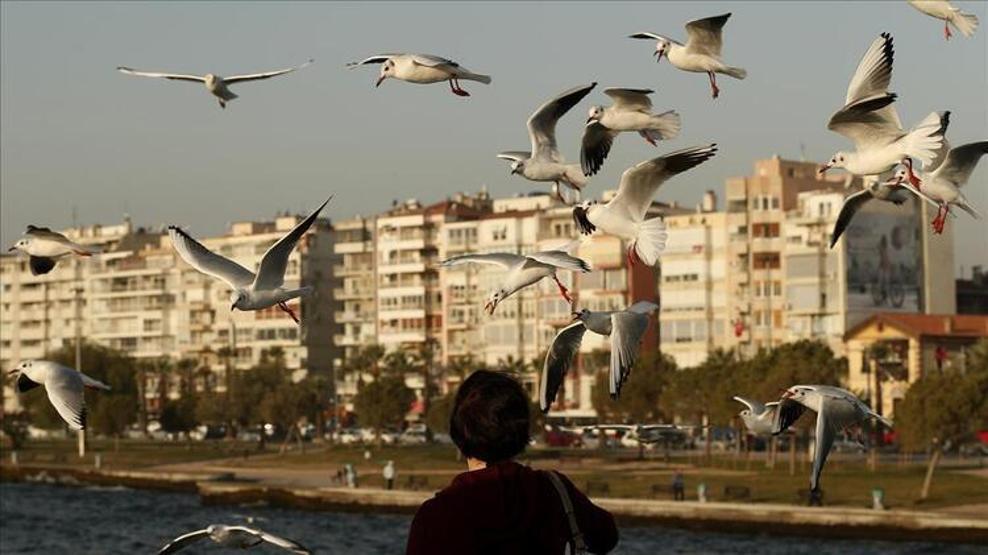Son dakika İl il Türkiyenin nüfusu (Hangi ilin nüfusu ne kadar oldu)
