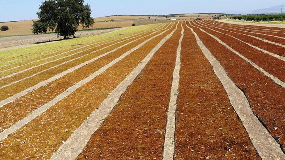 Son dakika İl il Türkiyenin nüfusu (Hangi ilin nüfusu ne kadar oldu)