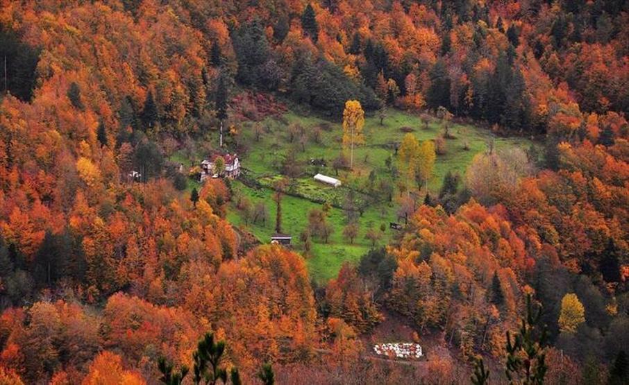 Son dakika İl il Türkiyenin nüfusu (Hangi ilin nüfusu ne kadar oldu)