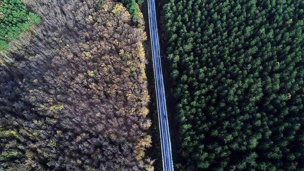 Son dakika İl il Türkiyenin nüfusu (Hangi ilin nüfusu ne kadar oldu)