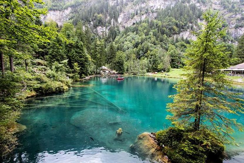 Blausee Gölü renkleri ve güzelliğiyle adeta büyülüyor