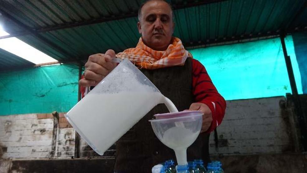 Kilosu 100 lira olan süte yoğun ilgi