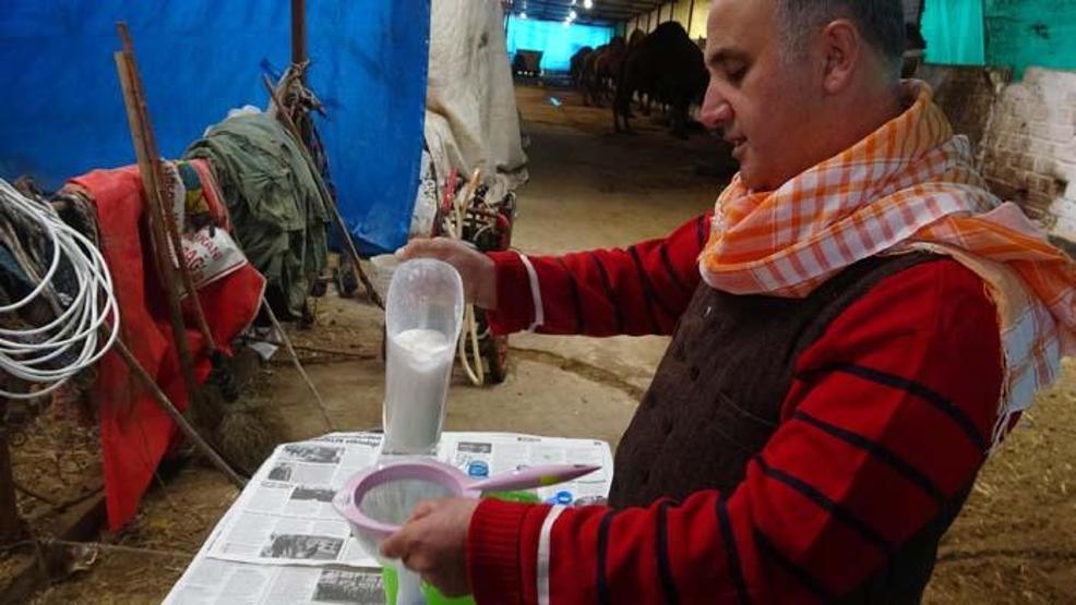 Kilosu 100 lira olan süte yoğun ilgi