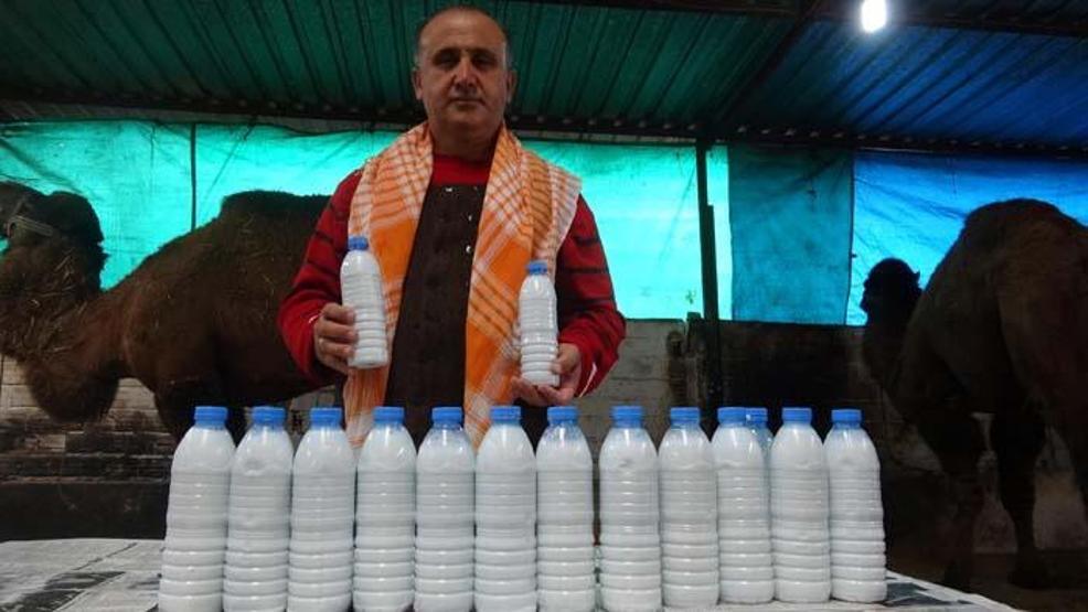 Kilosu 100 lira olan süte yoğun ilgi