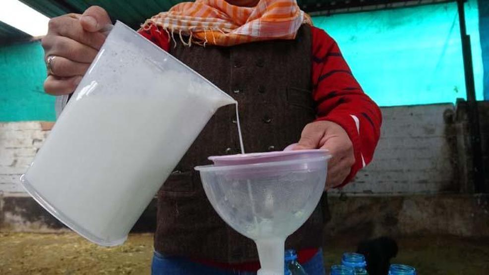 Kilosu 100 lira olan süte yoğun ilgi