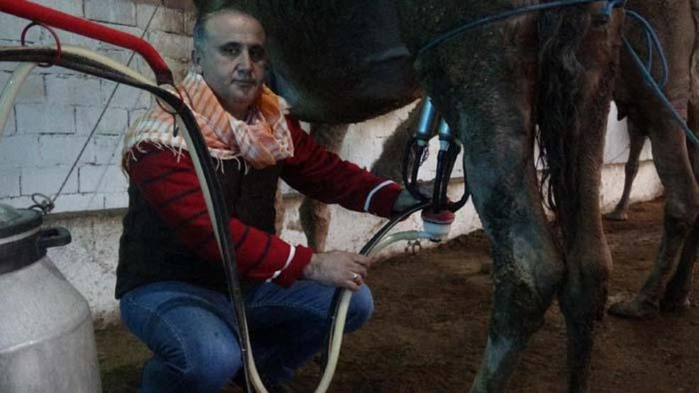 Kilosu 100 lira olan süte yoğun ilgi