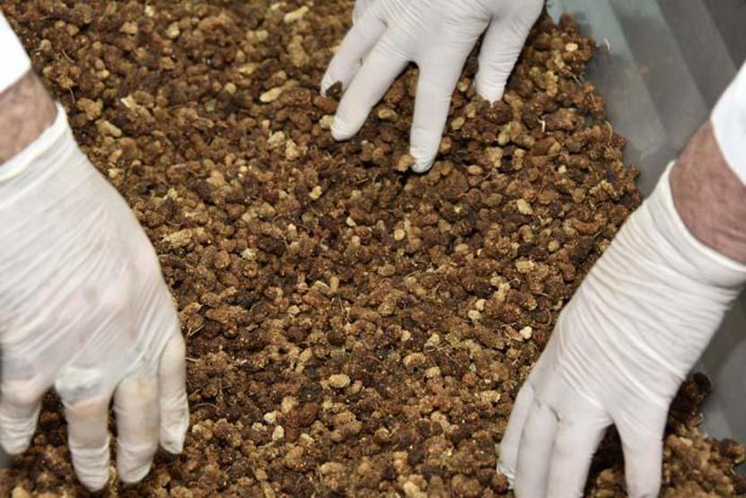 Bu da organik pestil Talep patlaması yaşıyor