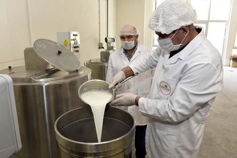 Bu da organik pestil Talep patlaması yaşıyor