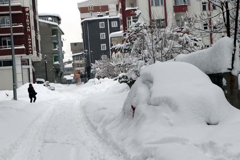 Vanda kar kalınlığı 1 metreyi aştı; 687 yerleşim yerine ulaşılamıyor