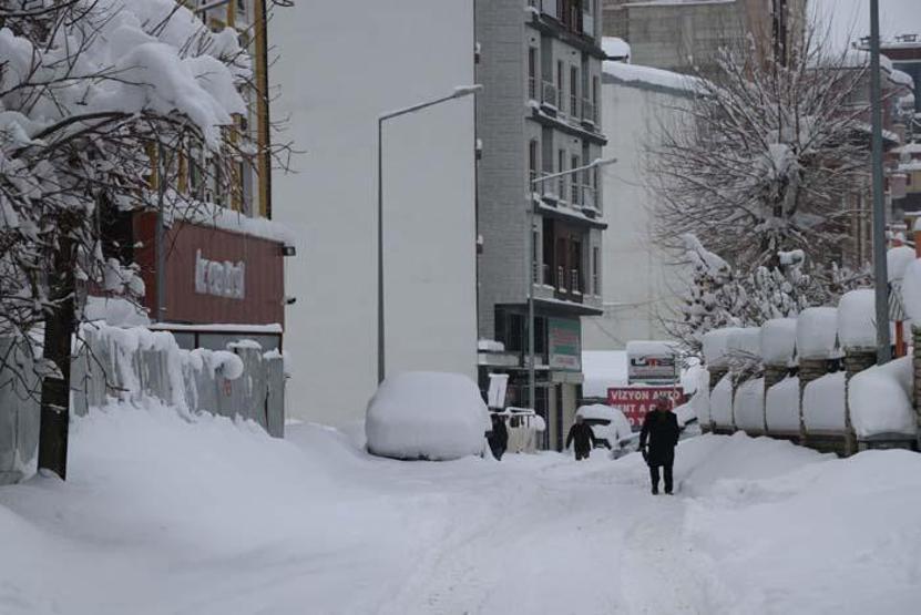 Vanda kar kalınlığı 1 metreyi aştı; 687 yerleşim yerine ulaşılamıyor