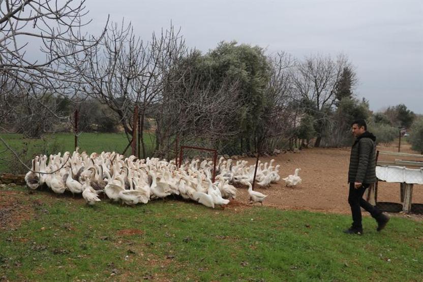 Adanada bir üretici yaptı Yemek için 3 gün üst üste gelen bile var