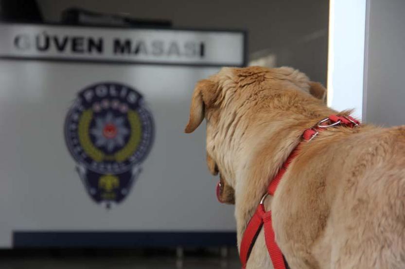 Kaybolan köpek polis karakoluna sığındı