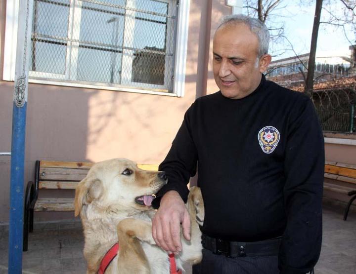 Kaybolan köpek polis karakoluna sığındı