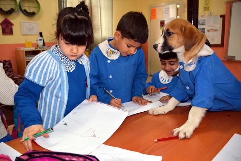 Okul forması giydirilen köpek sınıfın maskotu oldu