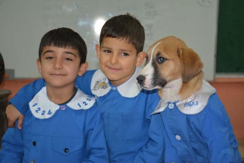 Okul forması giydirilen köpek sınıfın maskotu oldu