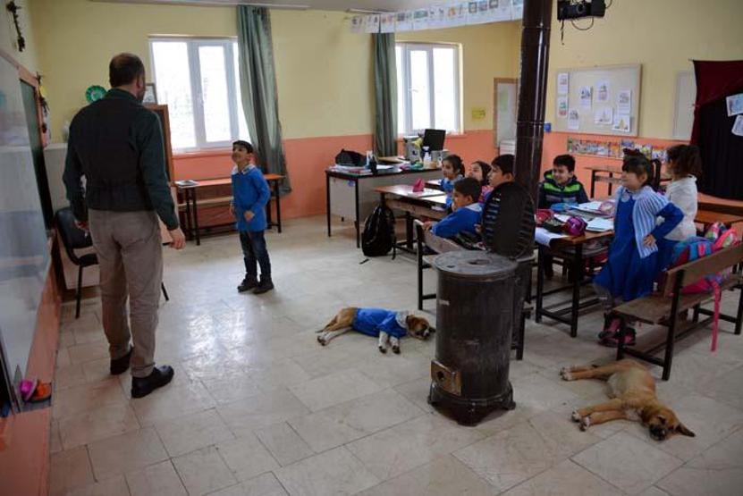Okul forması giydirilen köpek sınıfın maskotu oldu