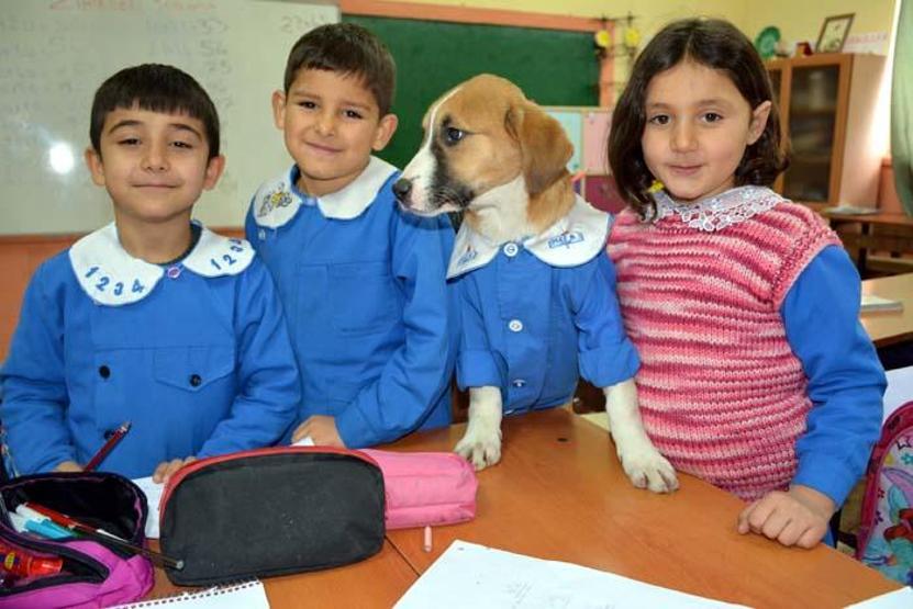 Okul forması giydirilen köpek sınıfın maskotu oldu