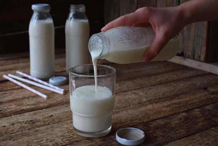 Bağırsaktaki zararlı bakterileri yok ediyor