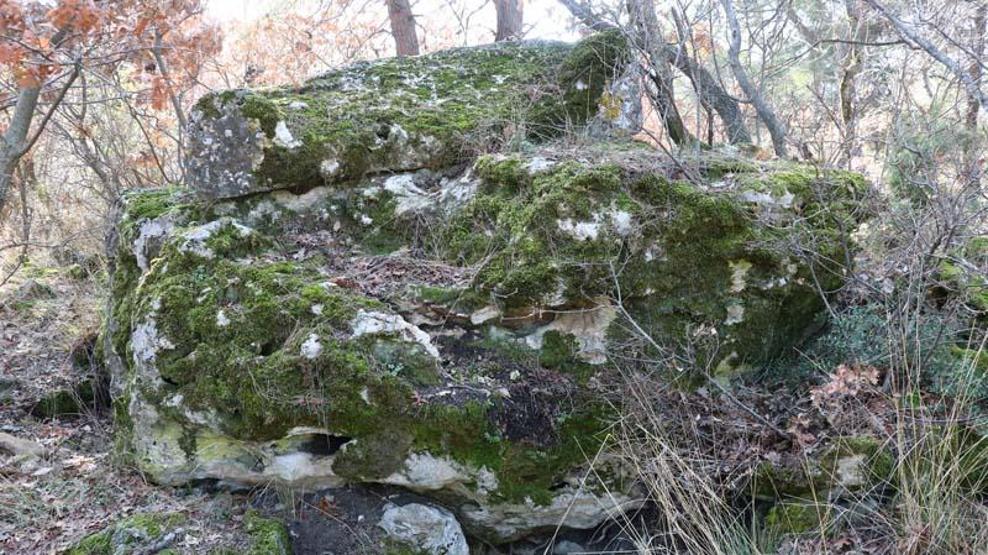 Ormanda 1800 yıllık lahit bulundu