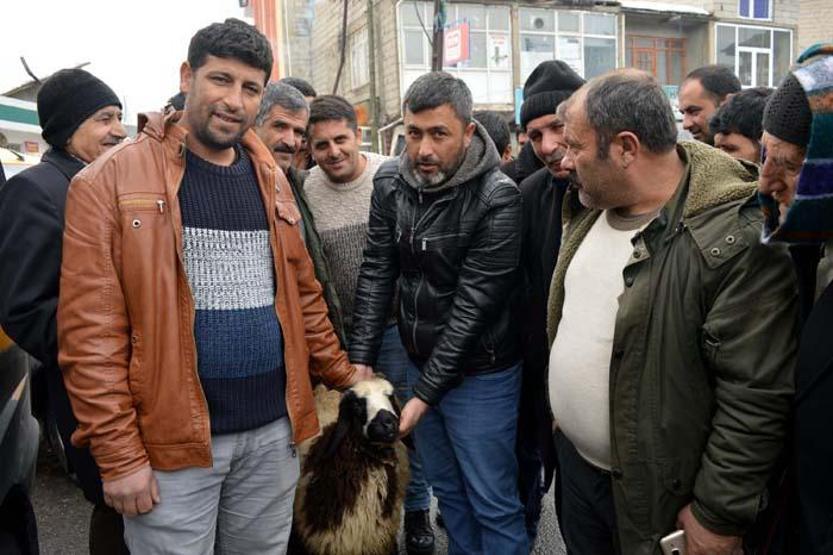 Peşini bırakmayan koyununu satmaktan vazgeçti