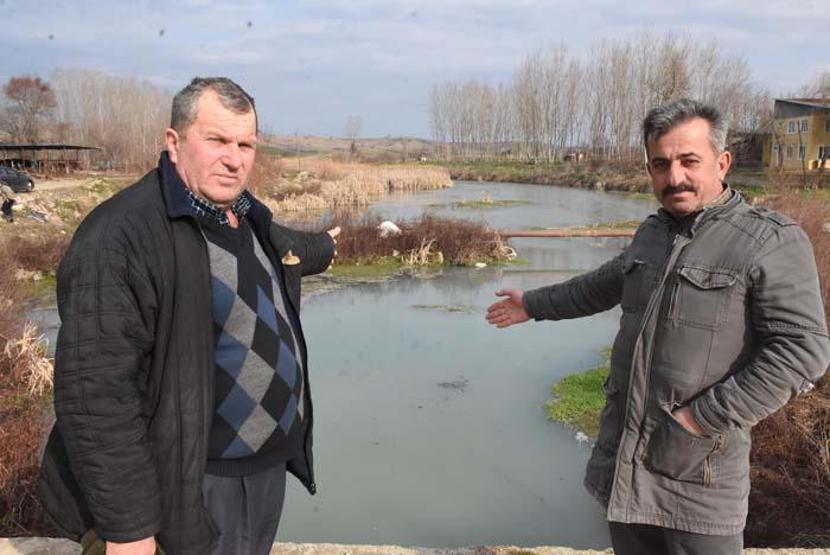 Teke Deresi kirlilikten beyaz ve gri renkte akıyor