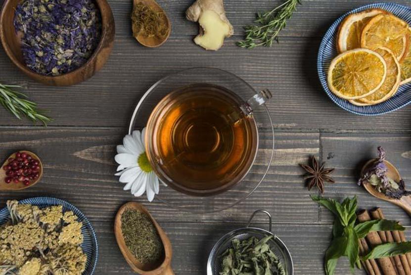 Beyni Güçlendiriyor, Hafızayı Koruyor Binlerce Yıllık Bu Bitki Alzheimer’a Umut Oldu