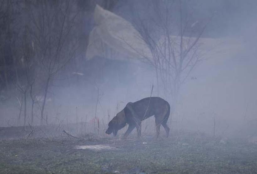 Pazarkulede göçmenlerin bekleyişi devam ediyor