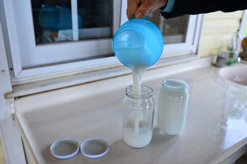 Litre fiyatı 150 lira olan eşek sütüne yoğun ilgi
